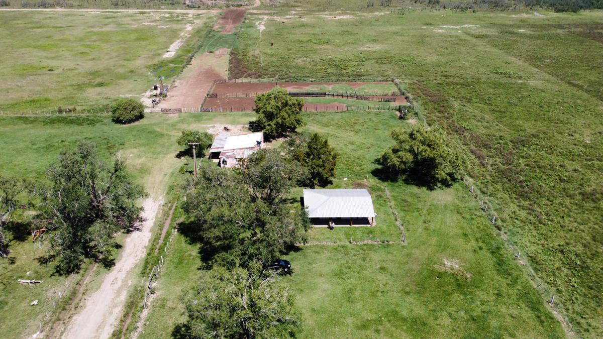 Campo ganadero - agricola - mixto- Galvez