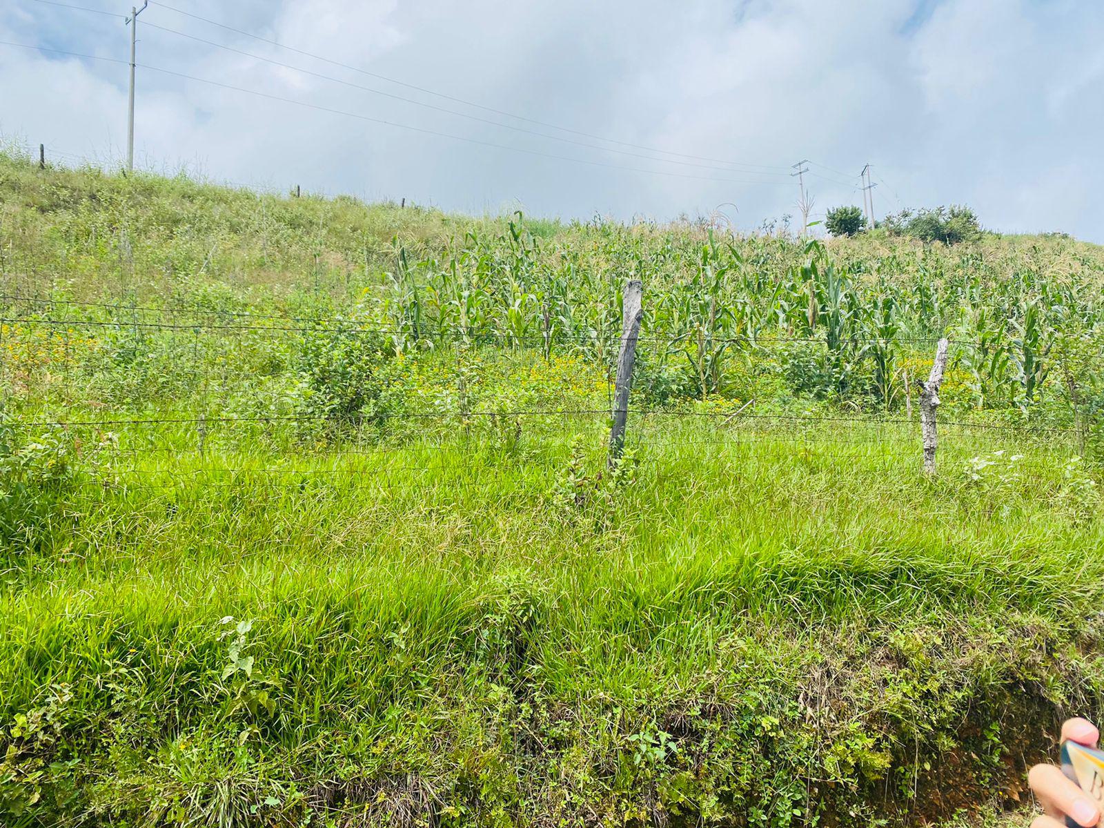 Terreno en Cerro de Mazatepec