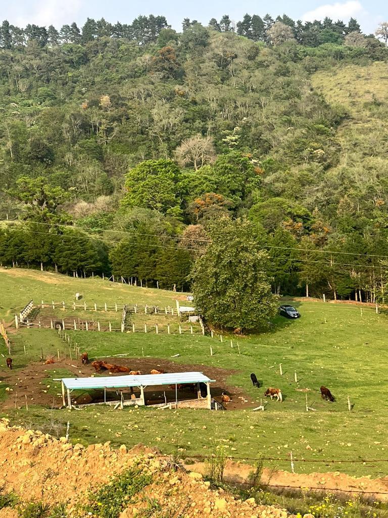 Terreno en Naolinco