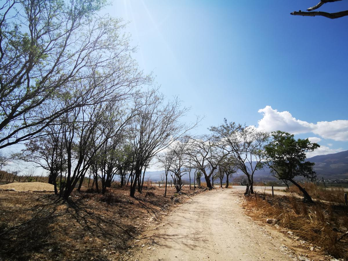 TERRENO (HA)  EN VENTA, EN EL LIBRAMIENTO SUR PTE NUEVO DE SUCHIAPA