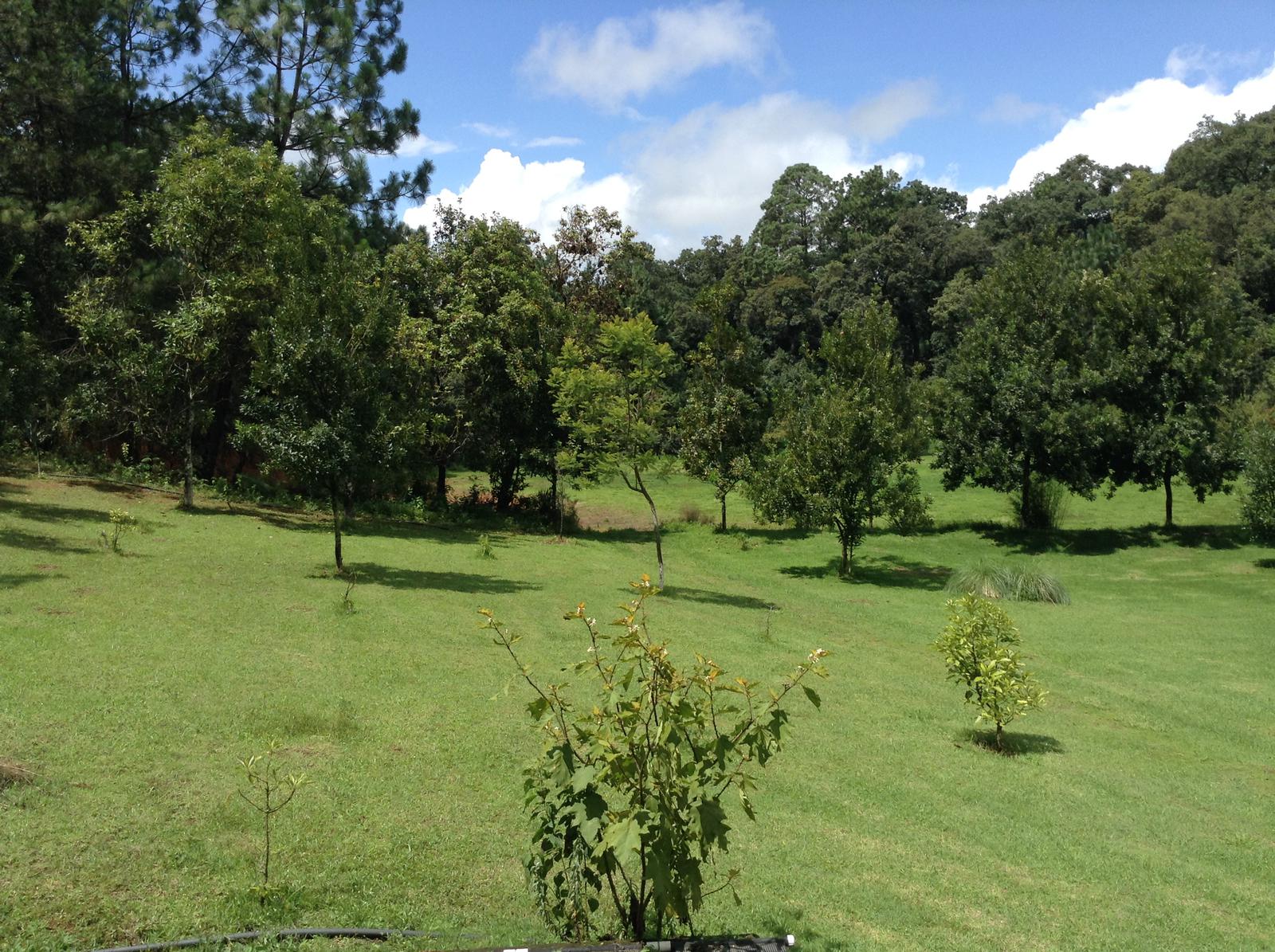 Rancho - Godínez O Tehuastepec