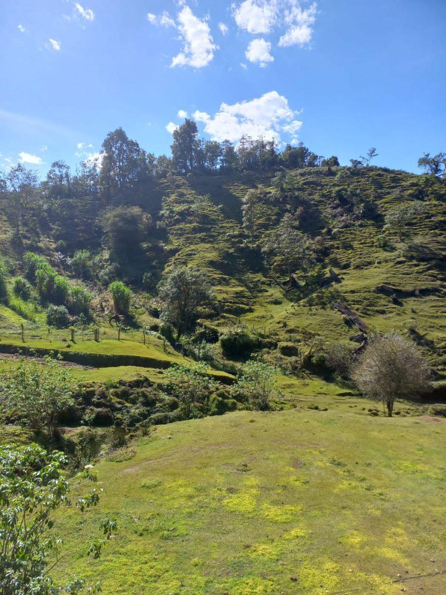 Terreno en venta en la zona de Teziutlán