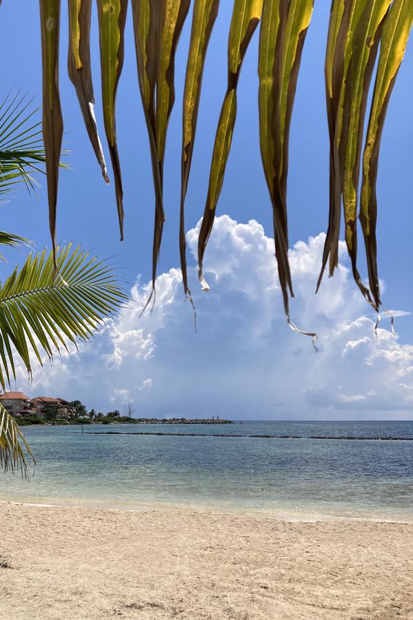 ALMA LUNA  PUERTO AVENTURAS