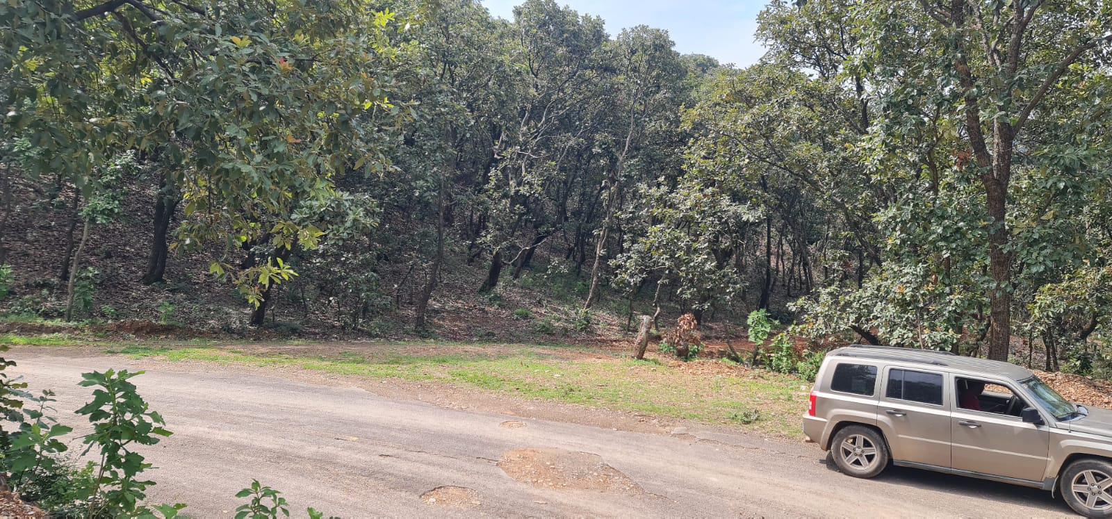 Terreno en  RINCON DEL CARMEN