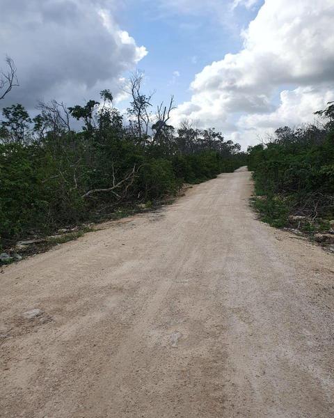 TULUM / QUINTANA ROO/REGIÓN 11