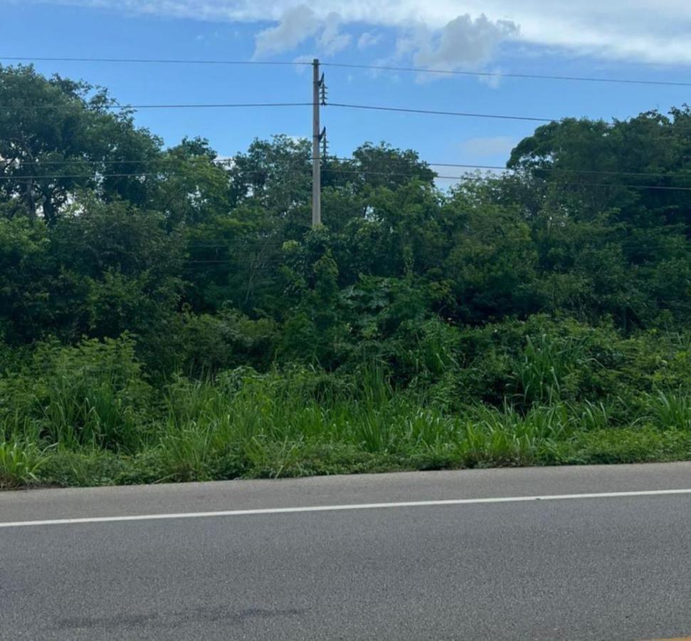 TERRENO EN VENTA EN TEMOZON YUCATAN  24 HECTÁREAS