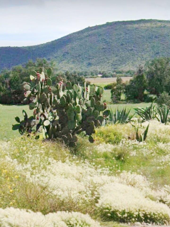 Terreno en Villa de Tezontepec, Hidalgo. Sup. 60 Hectáreas.