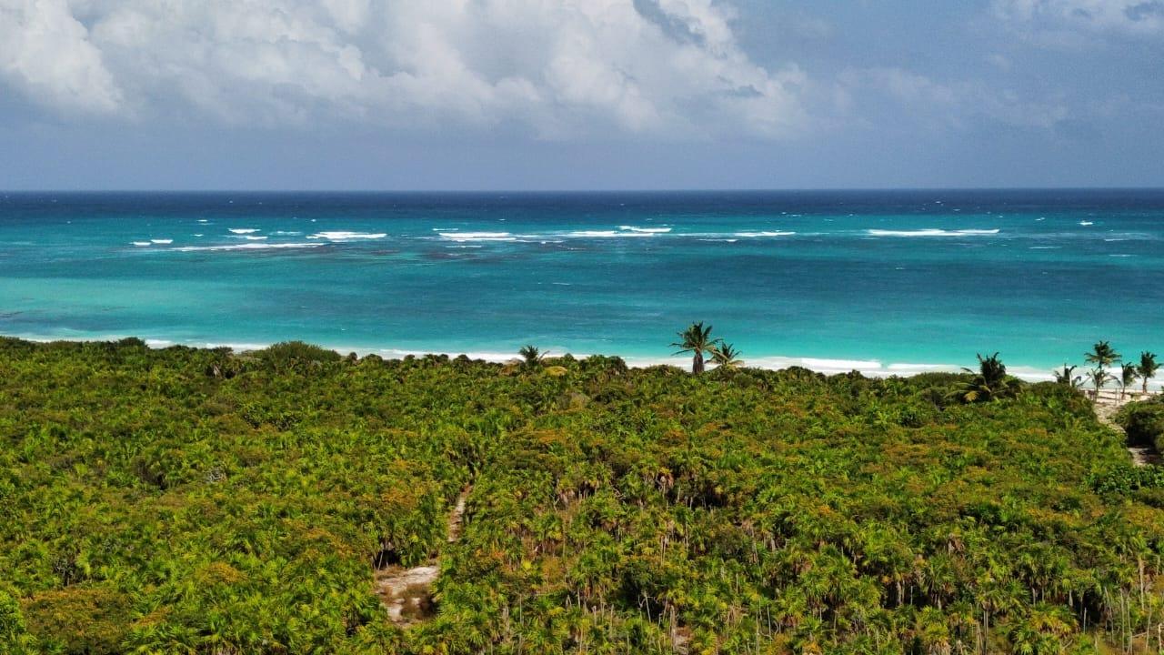 TERRENO EN VENTA TULUM