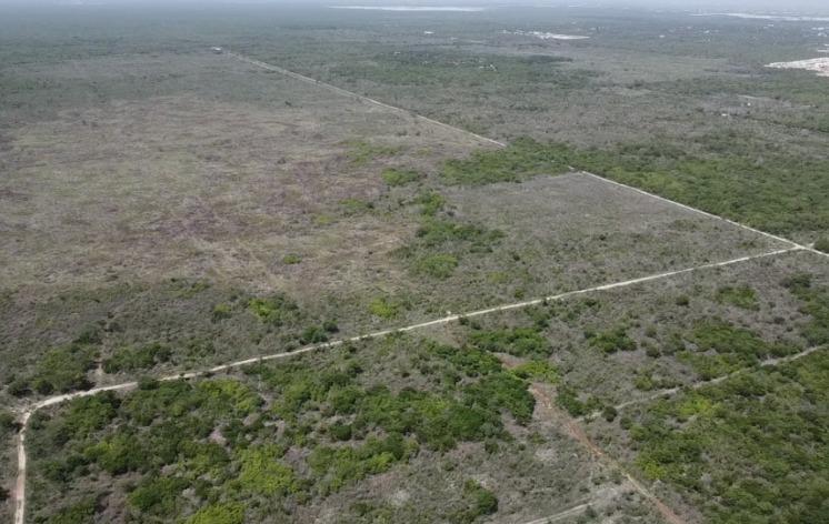 TERRENO EN VENTA EN ZONA NORTE, MÉRIDA