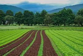 Terreno en  Venta en Ixtapaluca, Estado de Mexico