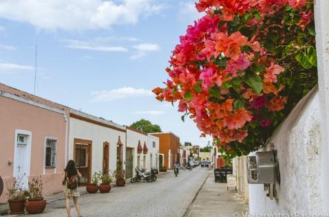 Terreno en Venta Centro Valladolid, Yucatán