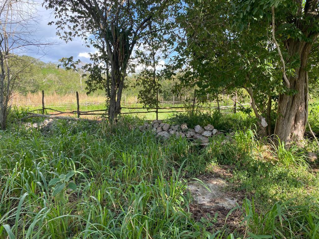 Rancho en Cantamayec 374 hectareas propiedad privada