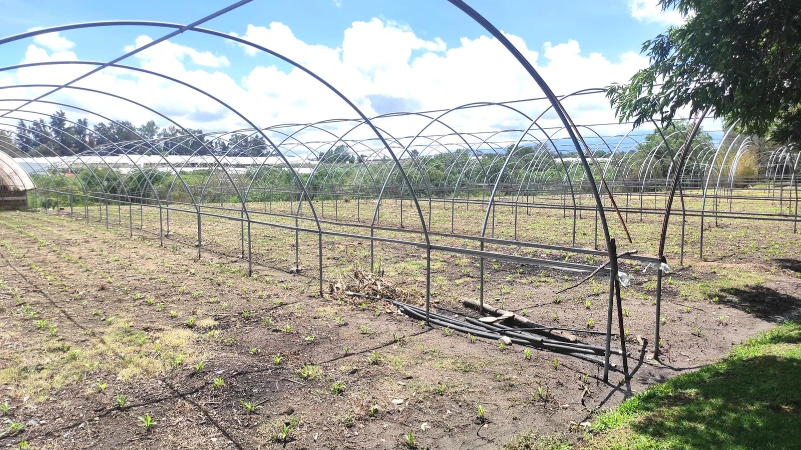 TERRENO EN VENTA, EN ZUMPAHUACAN A 7 KM DE TENANCINGO, ESTADO DE MEXICO