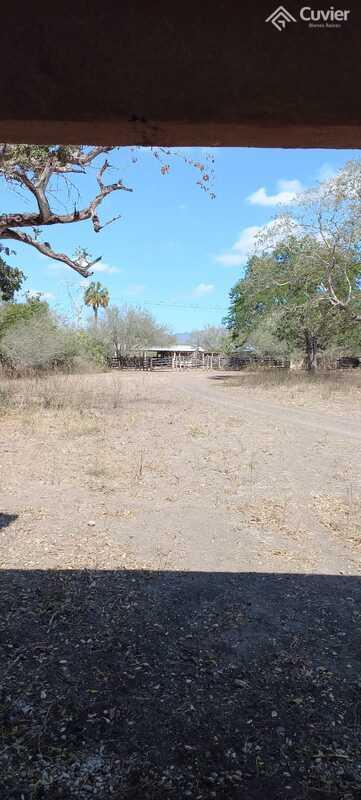 Rancho en González