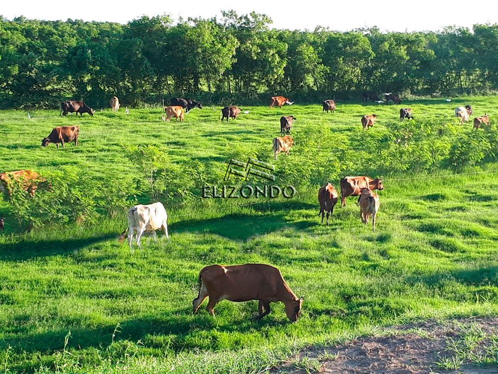 RANCHO EN VENTA, MUNICIPIO DE EBANO, S.L.P.