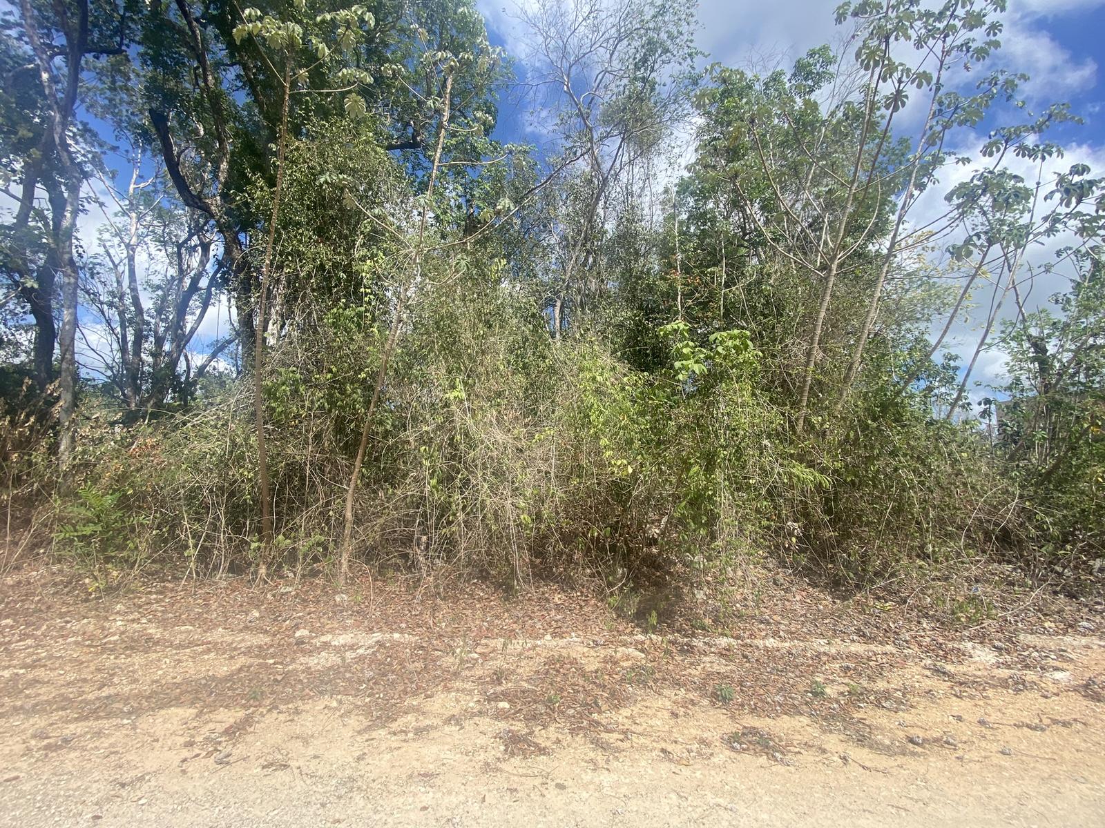 Terreno de Inversión en dzonot kaa , cerca cenote ZEMWAY