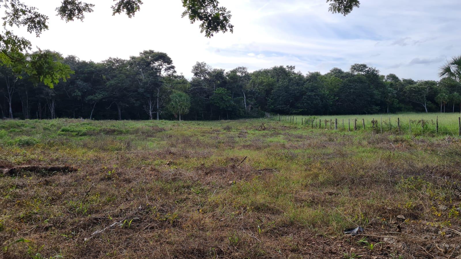 VENTA RANCHO EN TIZIMIN MERIDA DE 45 HECTAREAS.