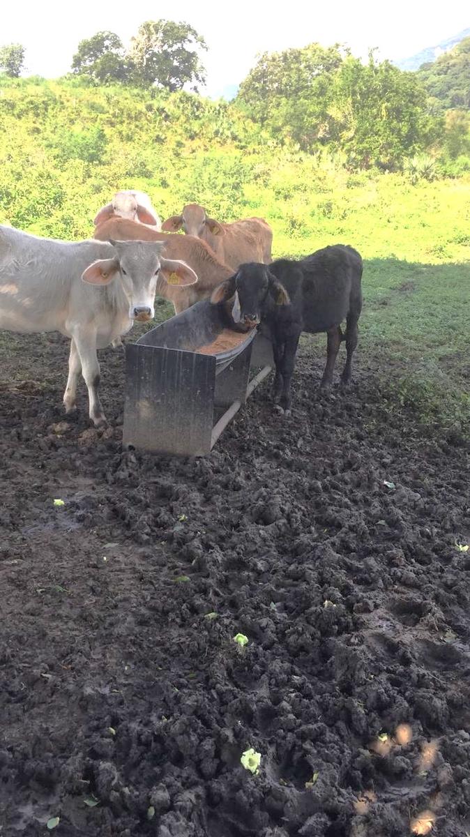 Rancho en Tepetzintla  a 47 Km de Tuxpam, Veracruz