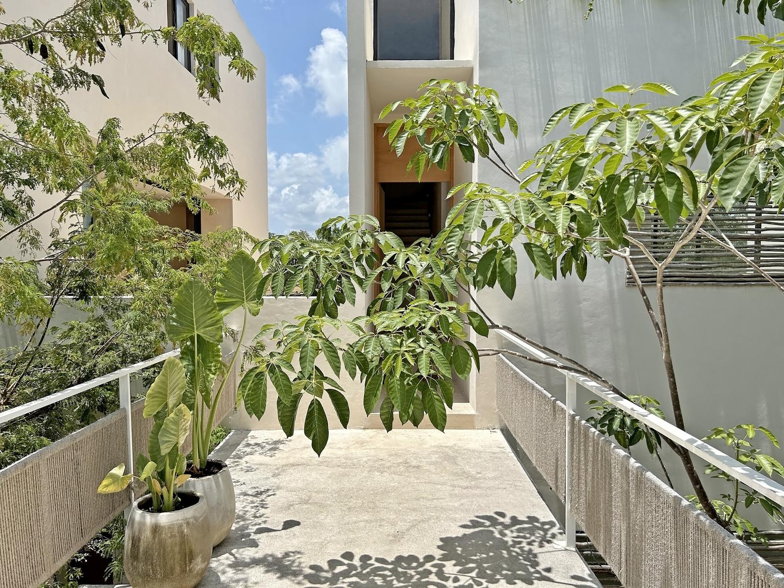 2BR 3BA, Apartment with Roof, Saasil, Tulum