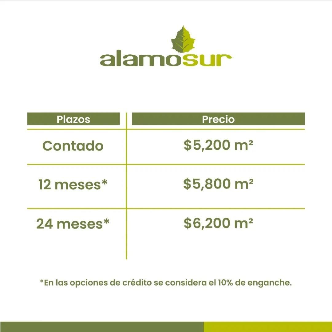 TERRENO EN VENTA EN ALAMO SUR