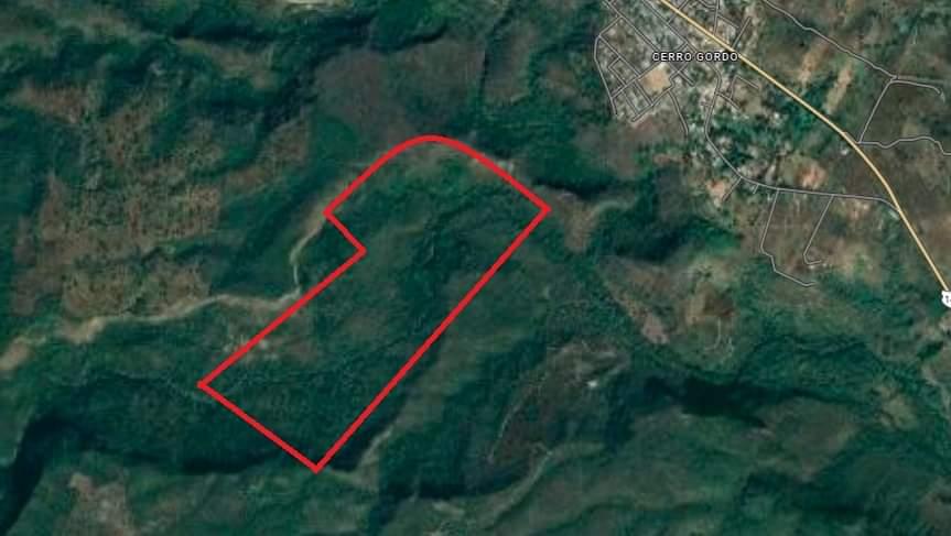 9 hectáreas en Venta en Cerro Gordo