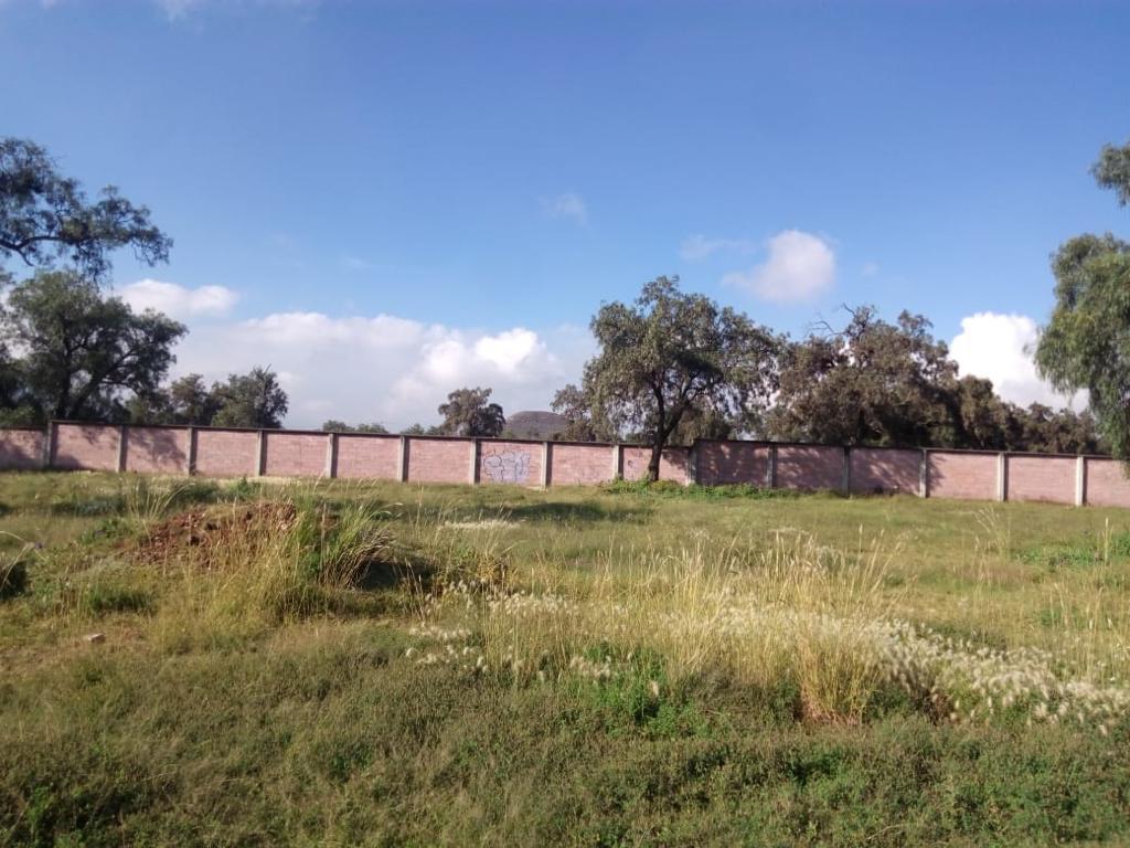 Terreno en VENTA o RENTA  en San Martín de las Pirámides