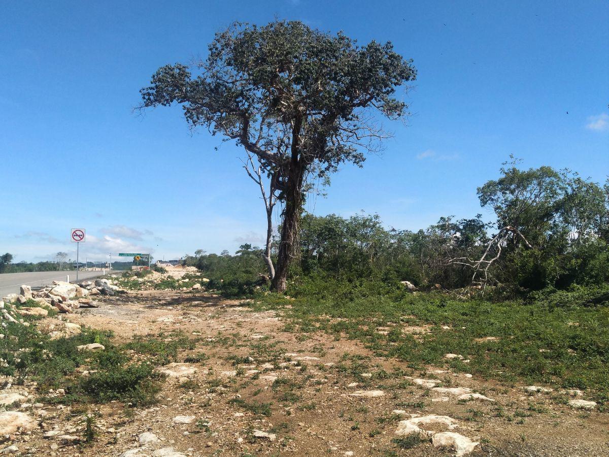 Terreno en venta por hectárea sobre el nuevo Libramiento Sur en Berriozábal