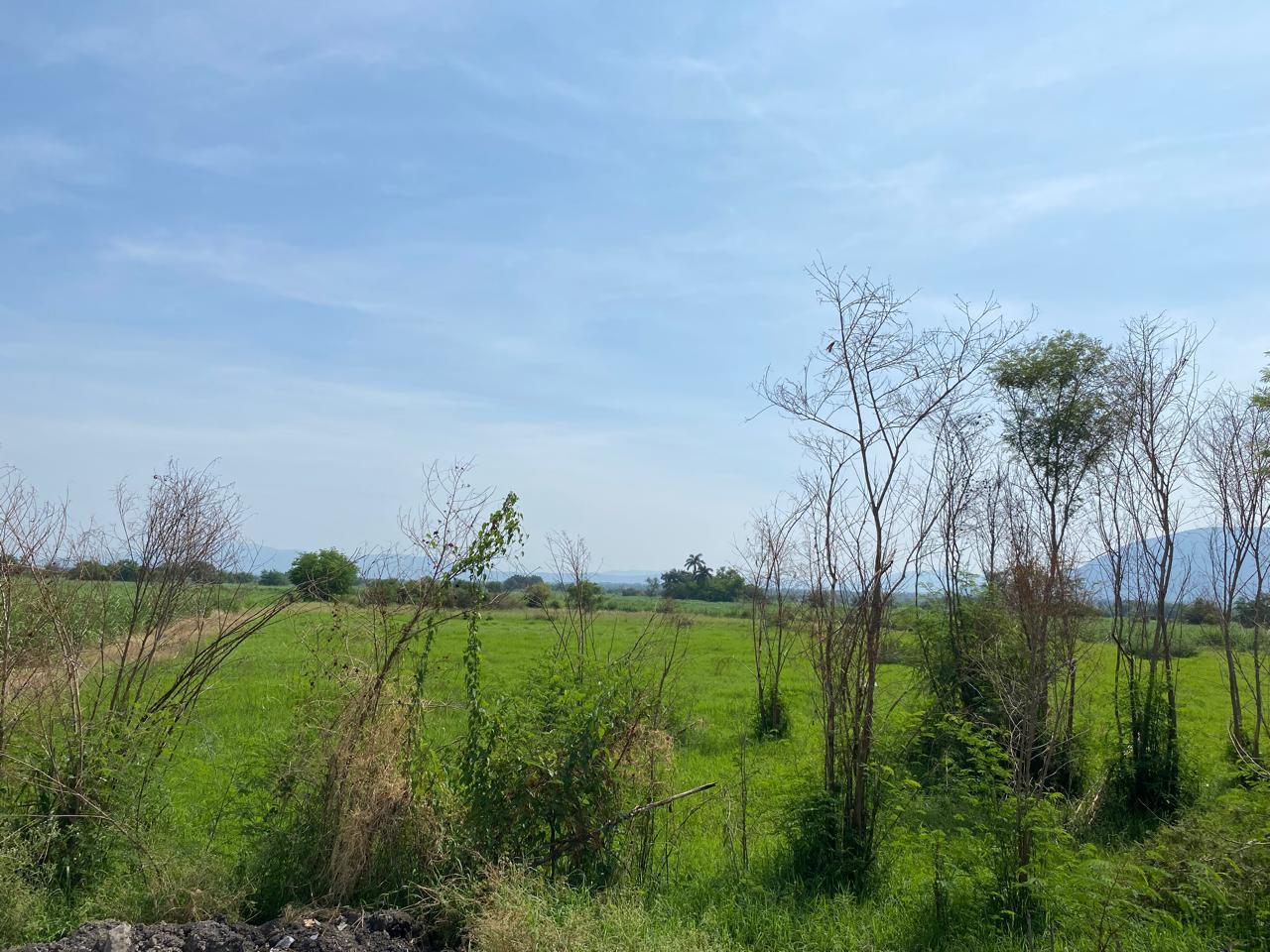 Terreno en Jojutla de Juárez Centro