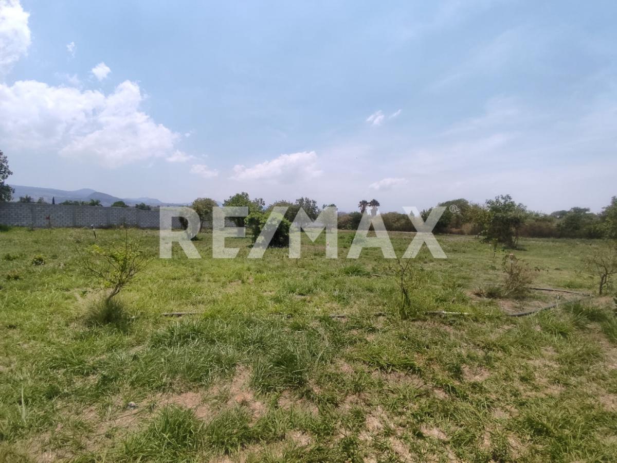 Gran Oportunidad, Baja de Precio. Venta de Terreno escriturado en Tlayacapan Morelos