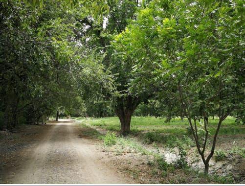 Terreno en Venta en San Buenaventura, Coahuila.