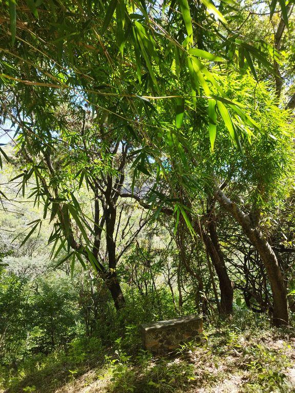 Terreno en venta en Jalmolonga, Malinalco