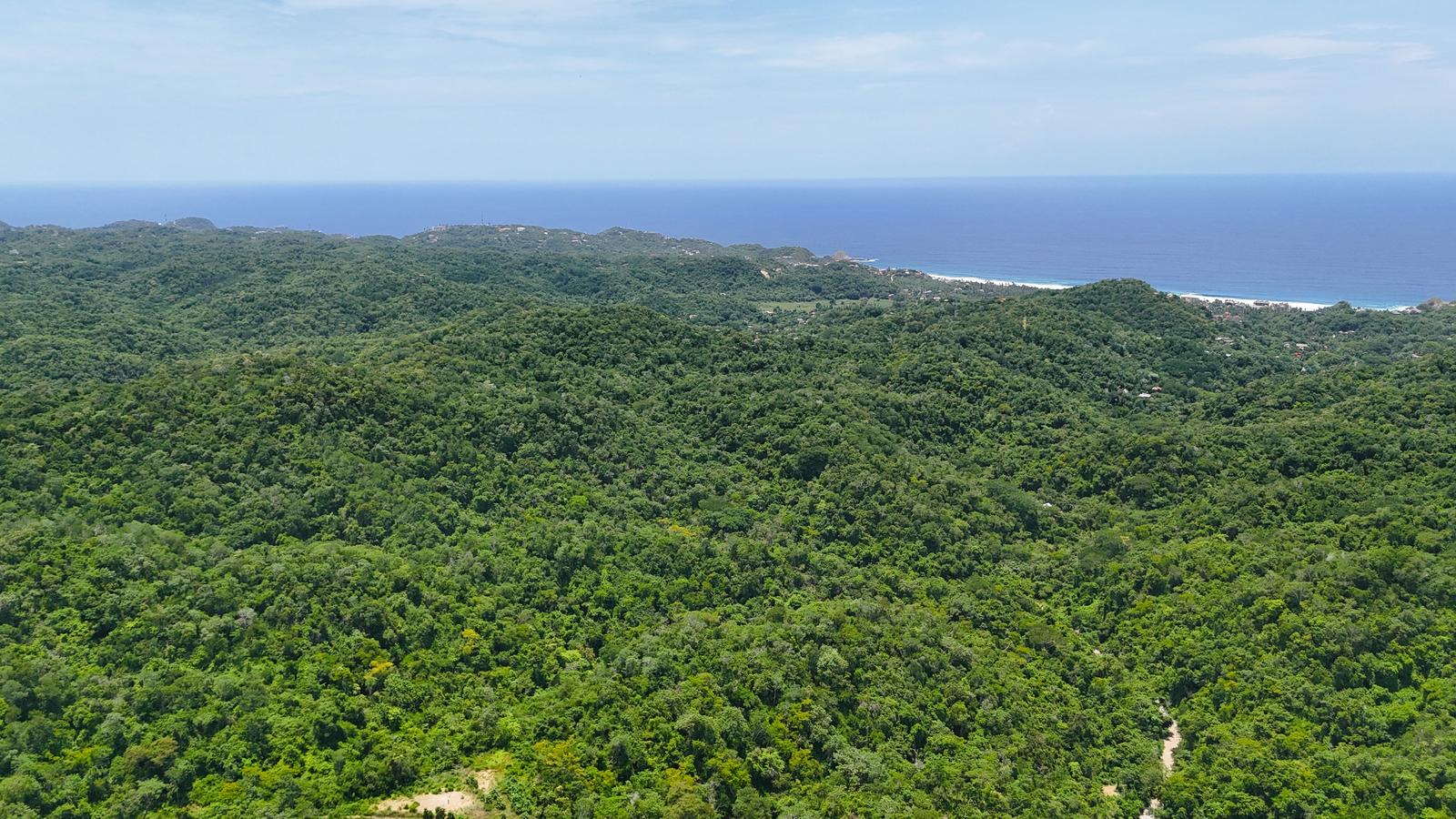 9 Hectáreas en Zipolite, Oaxaca