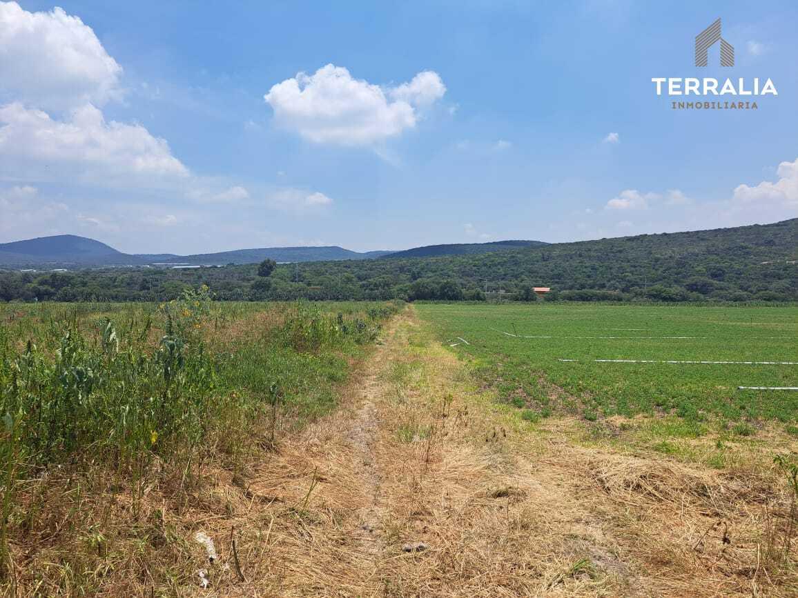 Rancho en Venta frente a Puerta del Lobo en La Griega de 16.2 hectáreas