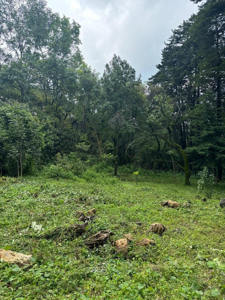 Terreno en Huertas de San Pedro