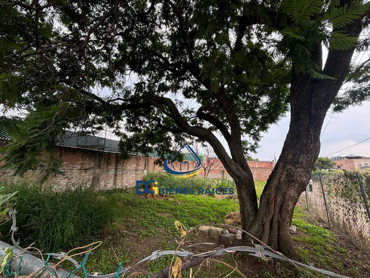 Terreno en venta en C. Independencia, Tlaquepaque.