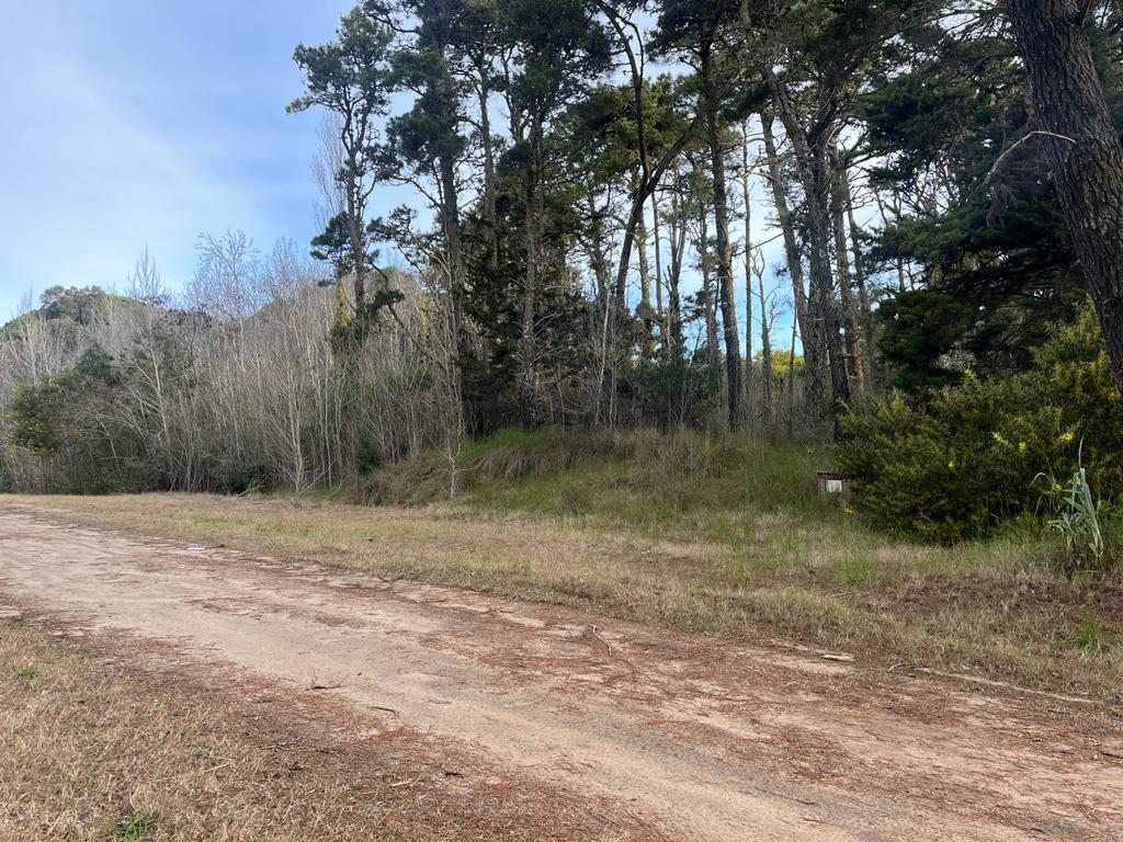 Terreno en venta en Carilo Providencia entre Atalaya y Carpintero