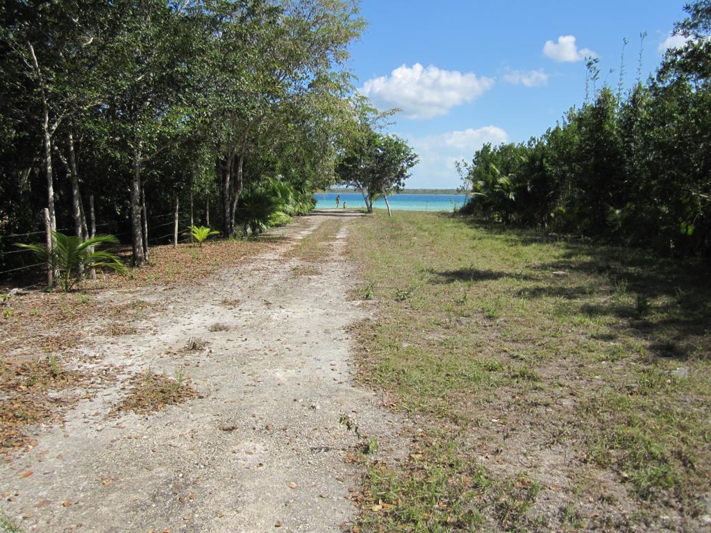 Terreno a pie de la laguna de Bacalar