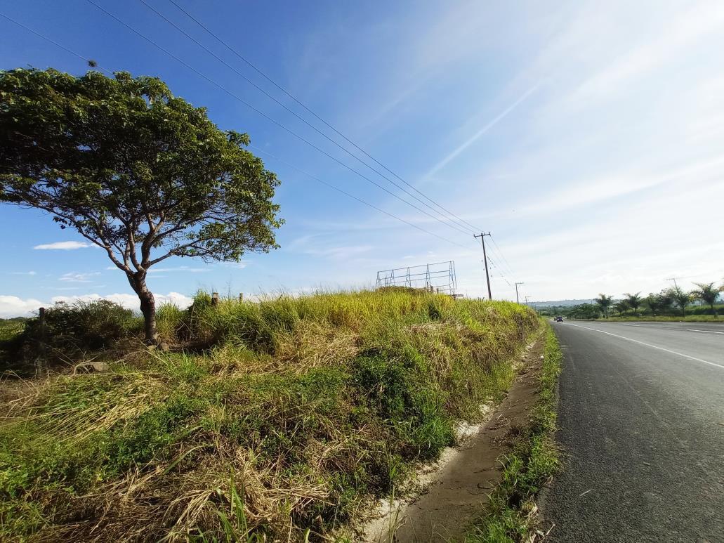 7.8 Hectáreas sobre la Carretera Xalapa-Veracruz, El Lencero