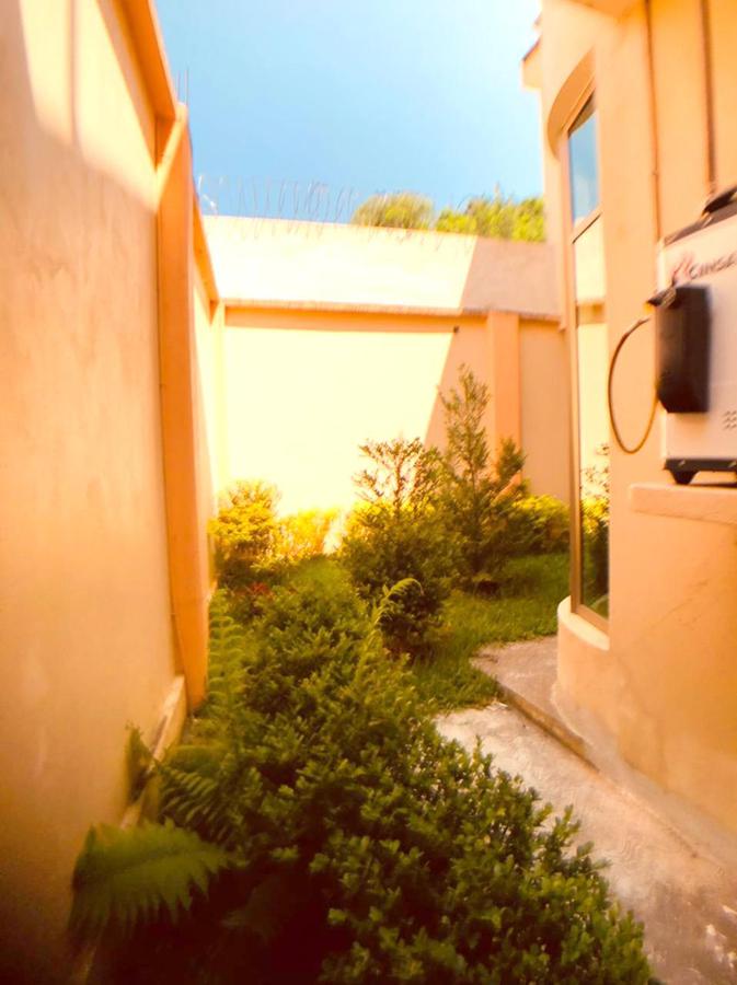 Casa en Renta en Mascareñas, tres recámaras y cochera