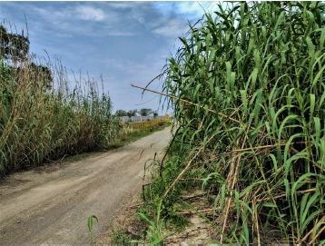 Terreno en  Venta Cadereyta Jimenez