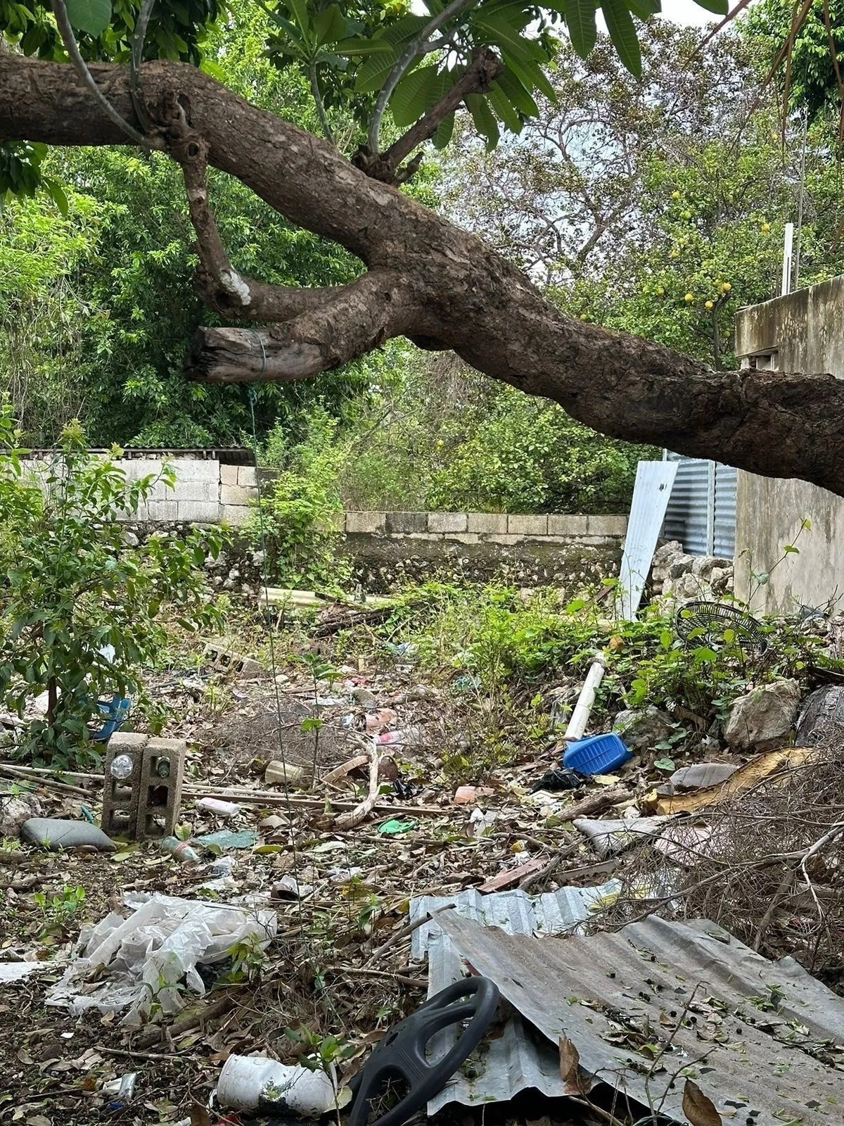 VENTA DE CASA EN EL CENTRO DE MERIDA SAN SEBASTIAN