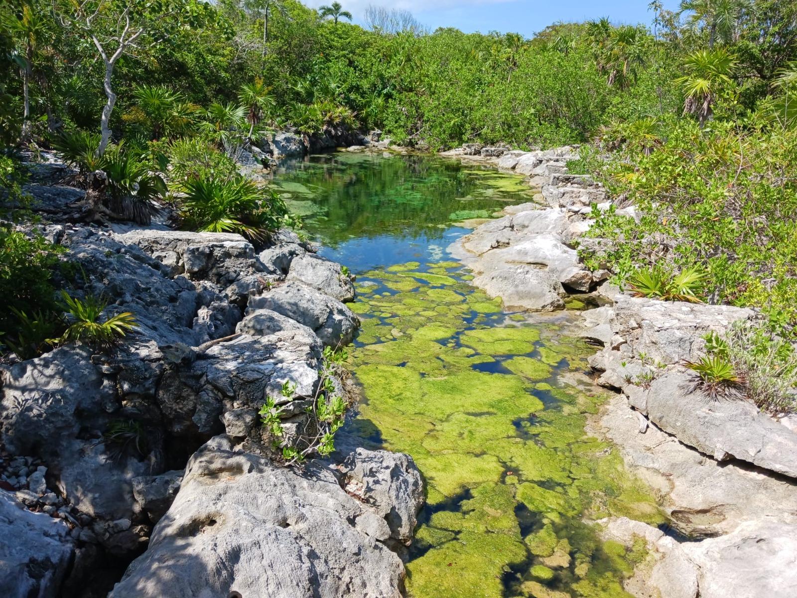 Terreno en  AKUMAL