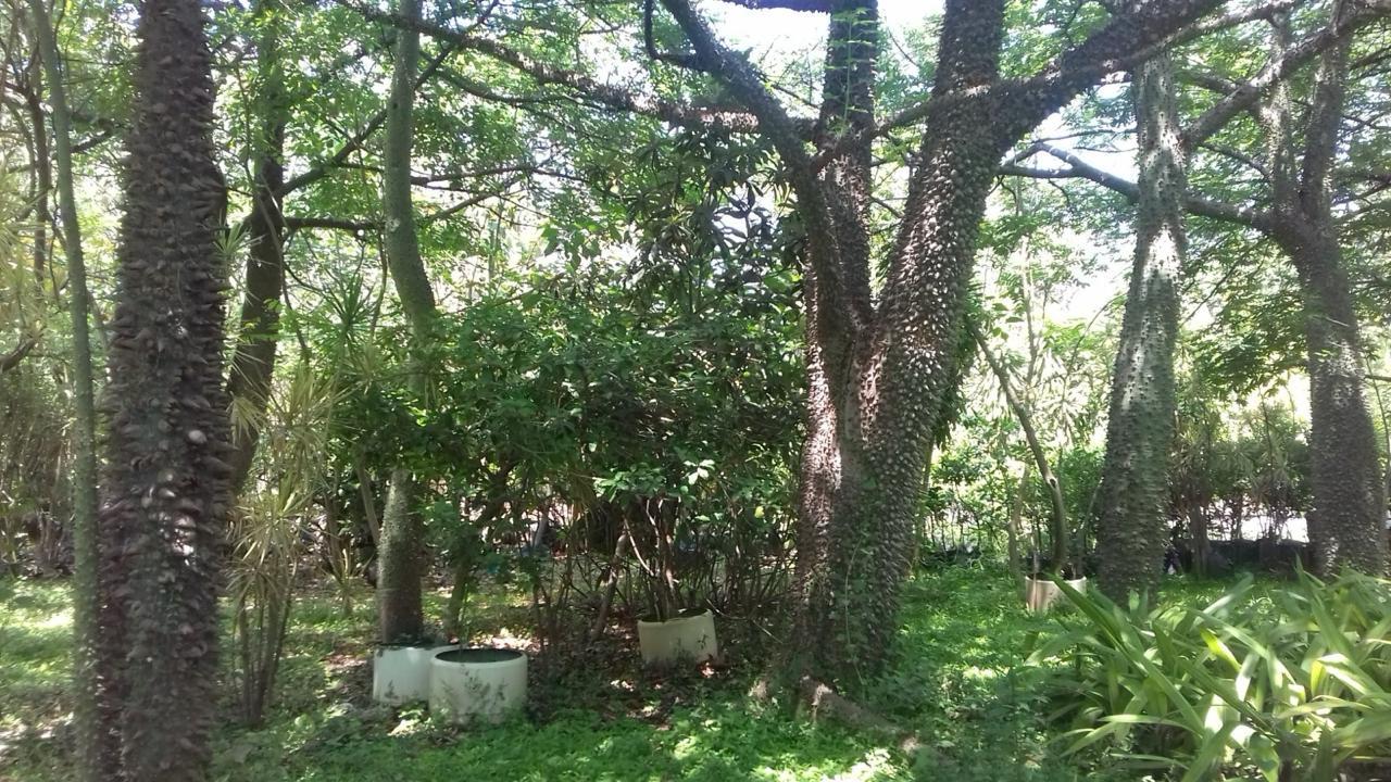 Terreno en  Jonacatepec, MORELOS