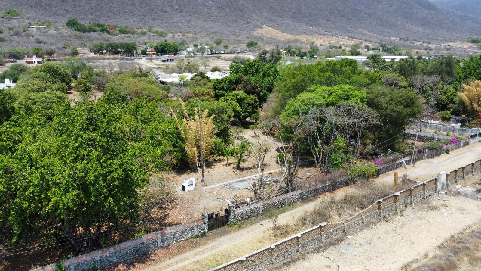 Terreno en  Venta en Ticuman Morelos