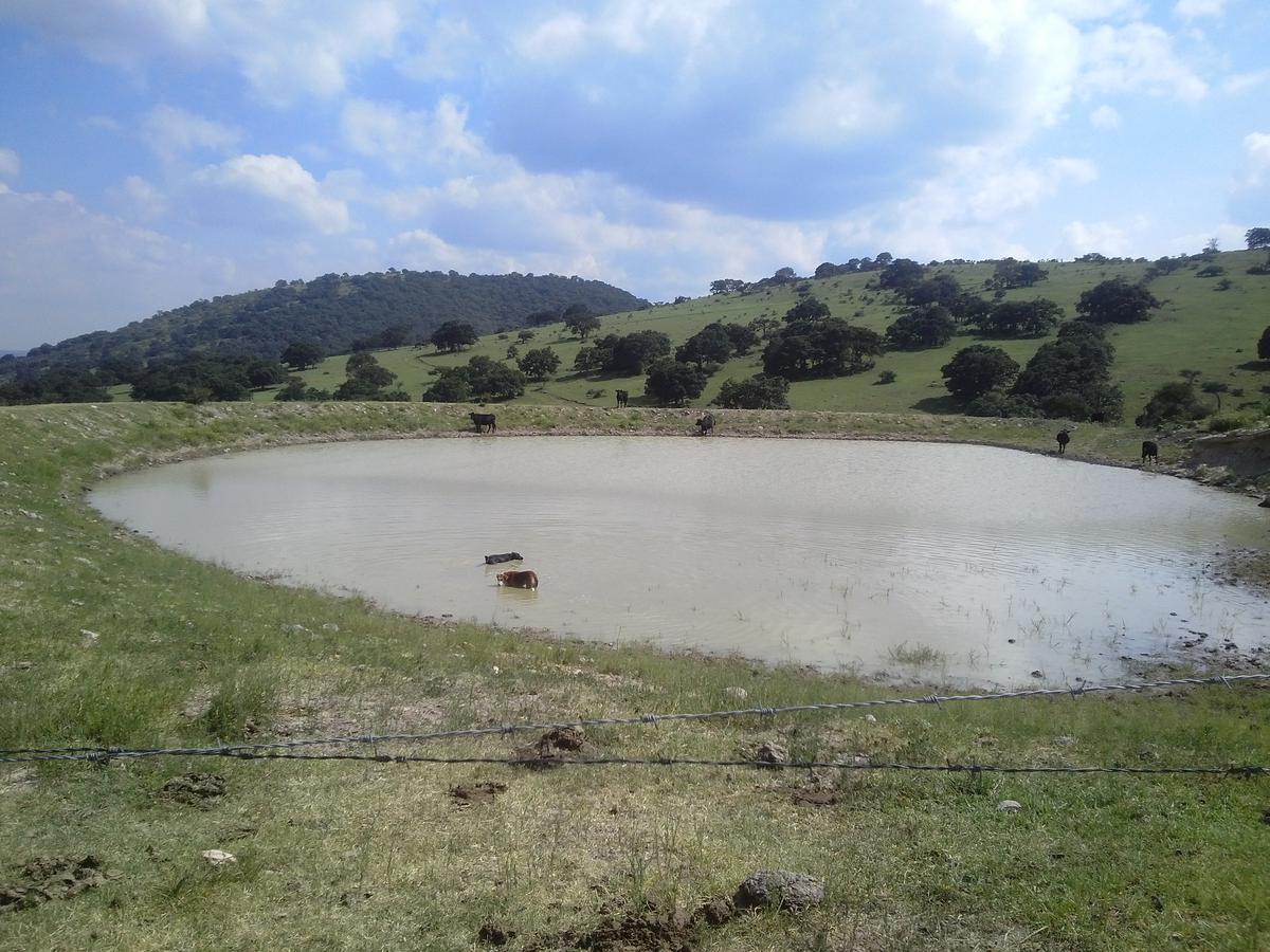 Venta Terreno, Jilotepec de Molina Enríquez