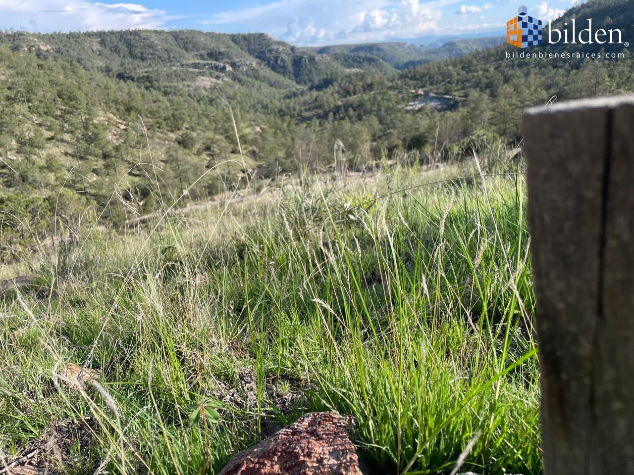 Terreno en Venta en Bosque de Llano Grande Durango