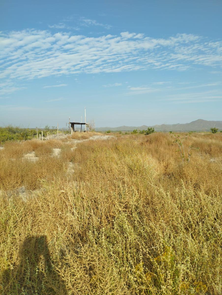 Terreno en Parras