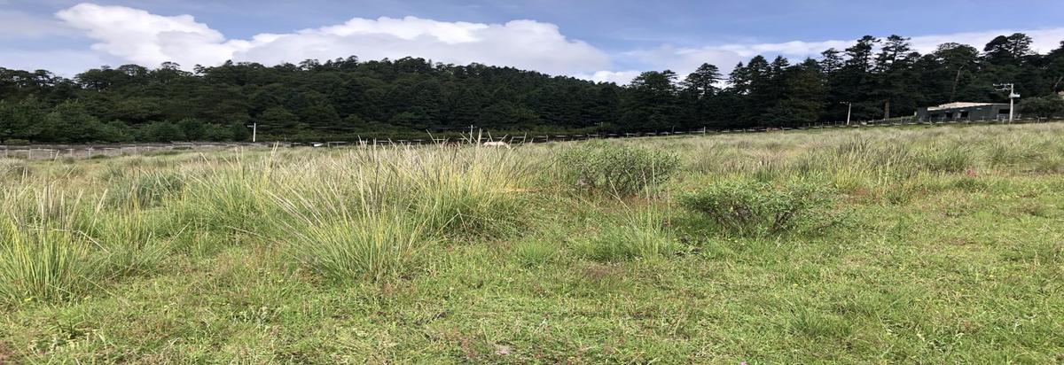 Terreo en venta, Salazar Lerma, Edo. de México.