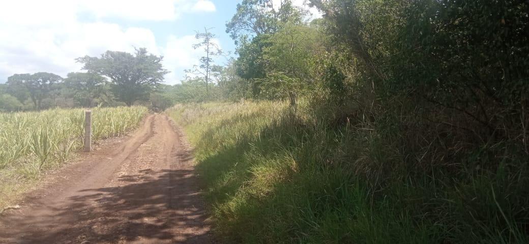 HECTÁREAS EN COATEPEC