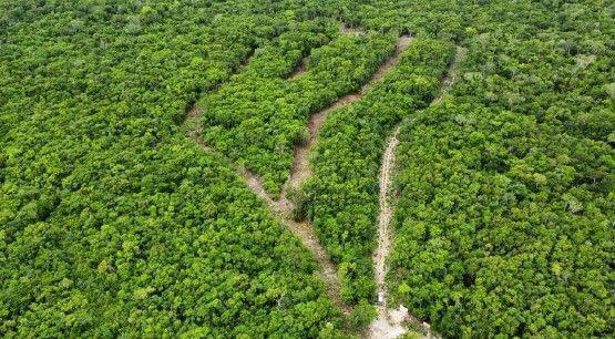 Terrenos en Venta en Selva Maya 2 Tulum